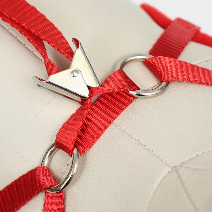 Комплект с мягкой шлейкой и бантиком, размер L, поводок 120 x 1,5 см, ОГ 35-50 см, красный Комплект с мягкой шлейкой и бантиком, размер L, поводок 120 x 1,5 см, ОГ 35-50 см, красный