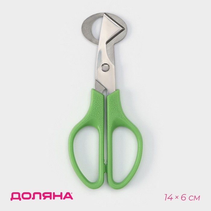 Ножницы для перепелиных яиц Доляна, 14×6 см, цвет зелёный Ножницы для перепелиных яиц Доляна, 14×6 см, цвет зелёный
