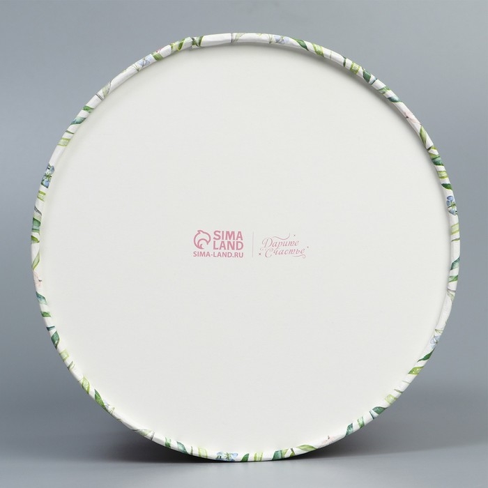 Коробка подарочная, упаковка, «Подарок», 16 х 10 см Коробка подарочная, упаковка, «Подарок», 16 х 10 см