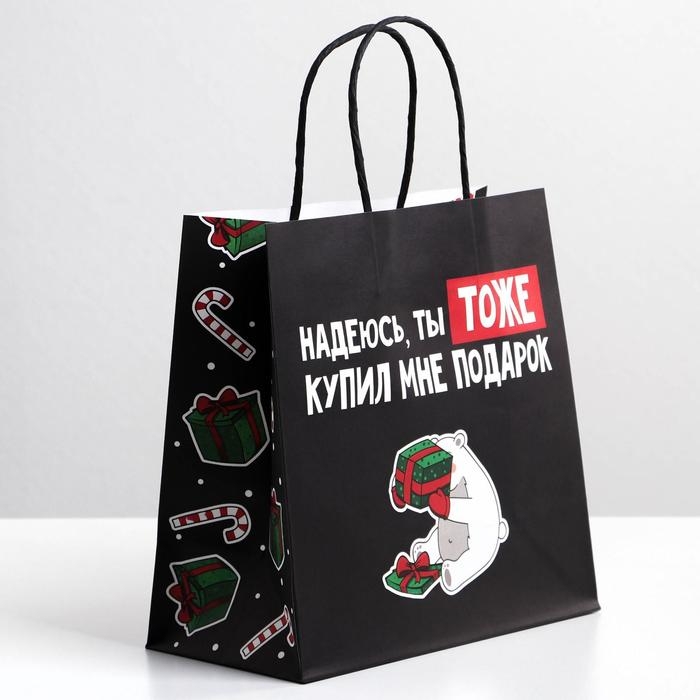 Пакет подарочный новогодний «Ты тоже купил мне подарок», 22 х 22 х 11 см, Новый год