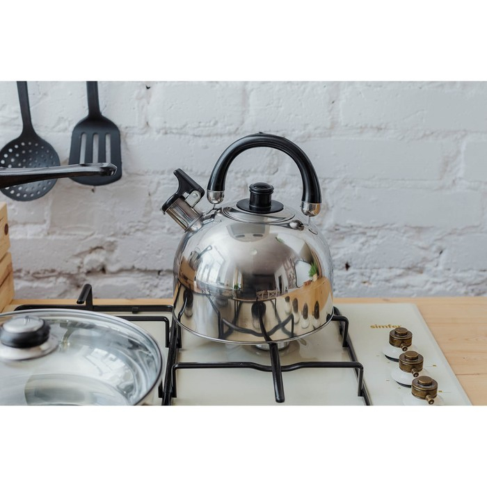 Чайник со свистком из нержавеющей стали Доляна «Чёрная ночь», 3 л, фиксированная ручка, цвет хромированный Чайник со свистком из нержавеющей стали Доляна «Чёрная ночь», 3 л, фиксированная ручка, цвет хромированный