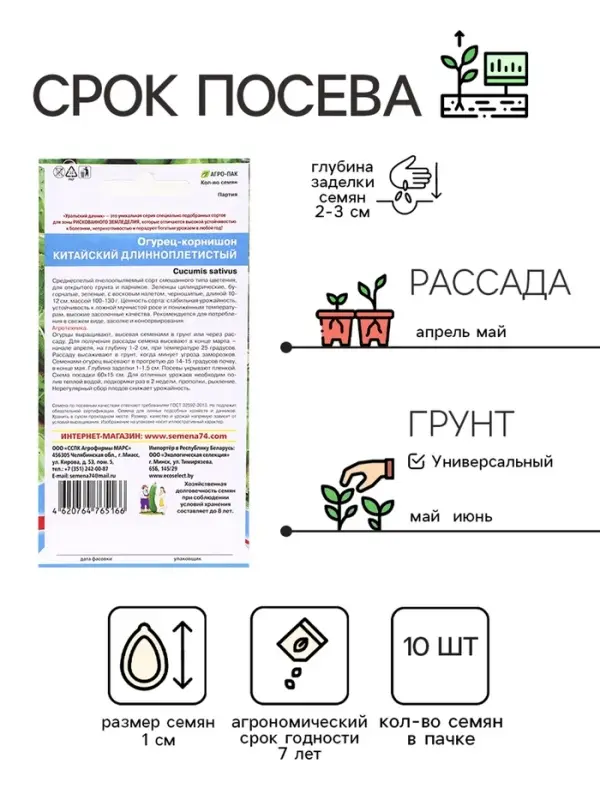Семена Огурец  Семена Огурец "Китайский Длинноплетистый", 10 шт