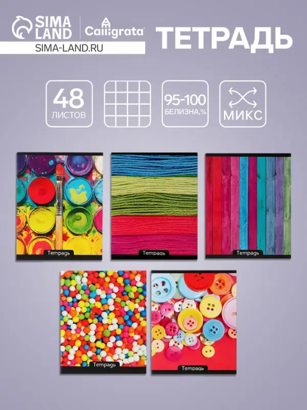 Тетрадь 48 листов в клетку Calligrata &laquo;Яркие цвета&raquo;, МИКС