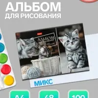 Альбом для рисования Hatber &laquo;Ассорти&raquo; А4, 48 листов, на скрепке, плотность листов 100 г/м&sup2;, обложка из мелованного картона, МИКС