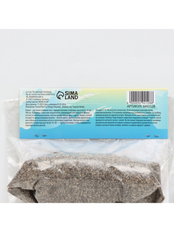 Лилия Азиатская Кашпо Curitiba, луковица в пакете с перфорацией, р-р 12/14, 2 шт.