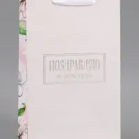 Пакет подарочный ламинированный &laquo;Поздравляю&raquo;, 22.3&times;9&times;35 см