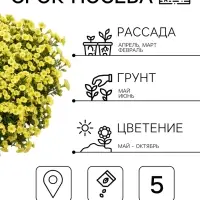 Семена цветов Петуния &laquo;Пикколино&raquo; F1, лайм, 5 шт., Farao, &laquo;АЭЛИТА&raquo;