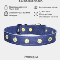 Ошейник безразмерный, 40&times;2 см, с подпряжником, кожа, синий