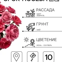 Семена цветов Петуния &laquo;Пируэт пурпурная&raquo; F1, махровая, 10 шт.