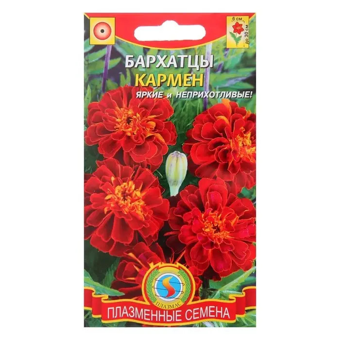 Семена Бархатцы  Семена Бархатцы "Кармен", красные с желтым, 45 шт