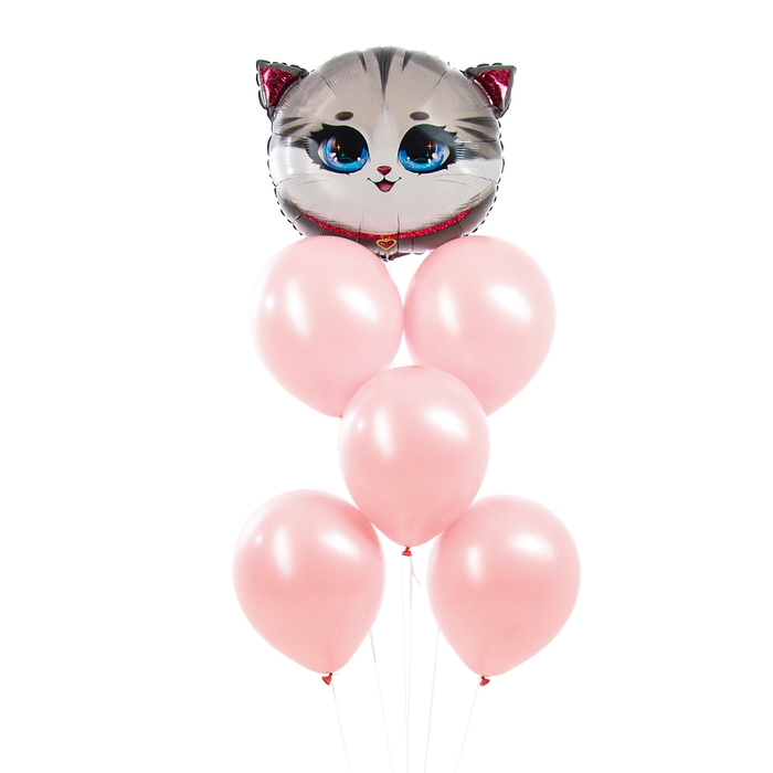 Набор воздушных шаров «Кошечка», розовый, латекс, фольга, 6 шт. Набор воздушных шаров «Кошечка», розовый, латекс, фольга, 6 шт.