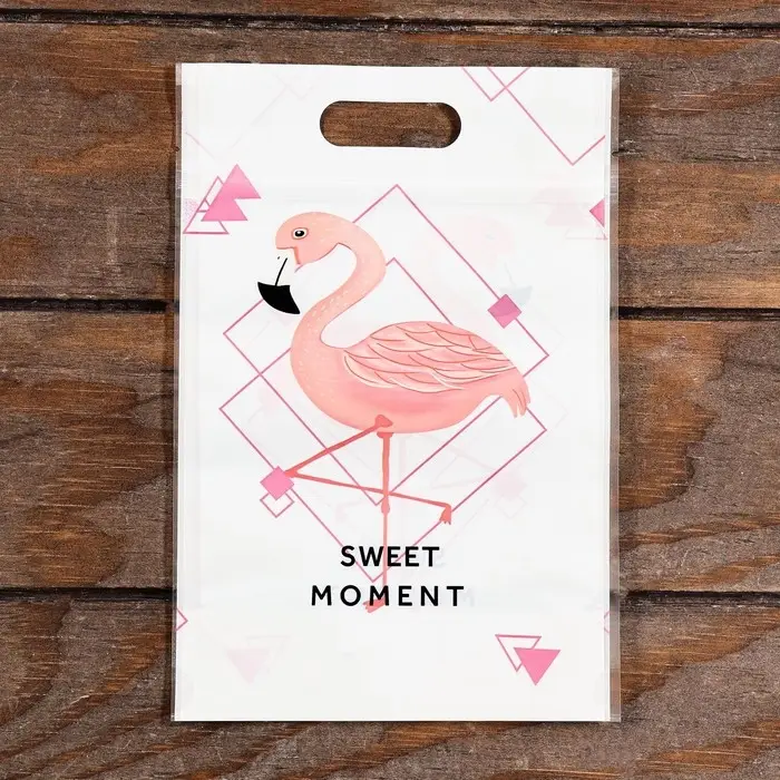 Пакет подарочный, с zip-lock застежкой, 15×23 см, МИКС Пакет подарочный, с zip-lock застежкой, 15×23 см, МИКС