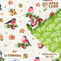 Бумага упаковочная глянцевая двусторонняя "Снегири ", 68 х 100 см Бумага упаковочная глянцевая двусторонняя "Снегири ", 68 х 100 см