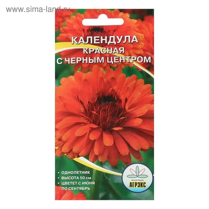 Семена цветов однолетние Календула махровая красная с черным центром центром 0,2 г Семена цветов однолетние Календула махровая красная с черным центром центром 0,2 г