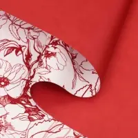 Пленка для цветов, "Романтичные моменты", винный, 57х57 см