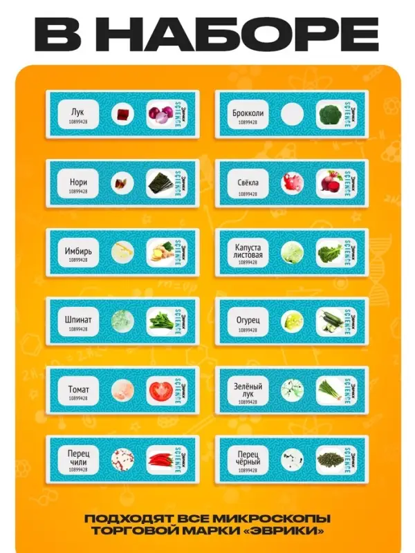 Набор для опытов &laquo;Набор микропрепаратов&raquo;, овощи и зелень