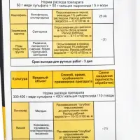 Средство от болезней растений Бордоская смесь 100 г