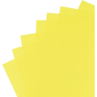 Бумага цветная Выбор есть (А4,75г,желтый неон) пачка 100л