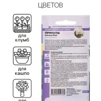 Семена Примула "Аккорд Вайт", ц/п,  5 шт