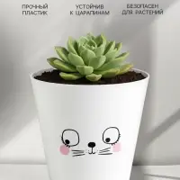 Кашпо для цветов &laquo;Мордочка&raquo;, 800 мл, d=12 см, h=11 см, пластиковое