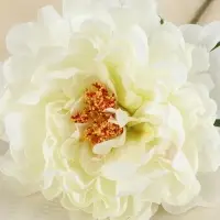 Цветы искусственные &laquo;Пион бархатный&raquo;, 15&times;55 см, белые