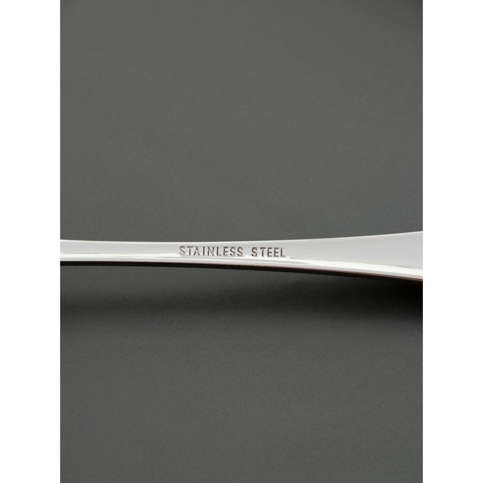 Ложка столовая из нержавеющей стали Magistro Versal, длина 20,5 см, толщина 2,5 мм, цвет серебряный Ложка столовая из нержавеющей стали Magistro Versal, длина 20,5 см, толщина 2,5 мм, цвет серебряный