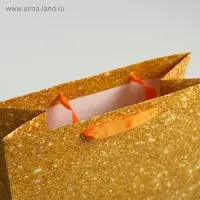 Пакет подарочный ламинированный, упаковка, &laquo;С Днём Рождения!&raquo;, ML 23&times;27&times;11.5 см