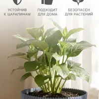 Горшок цветочный с поддоном, 750 мл, 12&times;11.5 см, пластиковый, серый