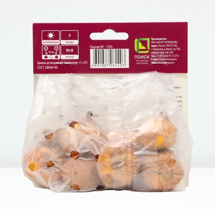 Гладиолус крупноцветковый «Пёпл Флора», луковица цветов в пакете с перфорацией, р-р 10/12, 10 шт.