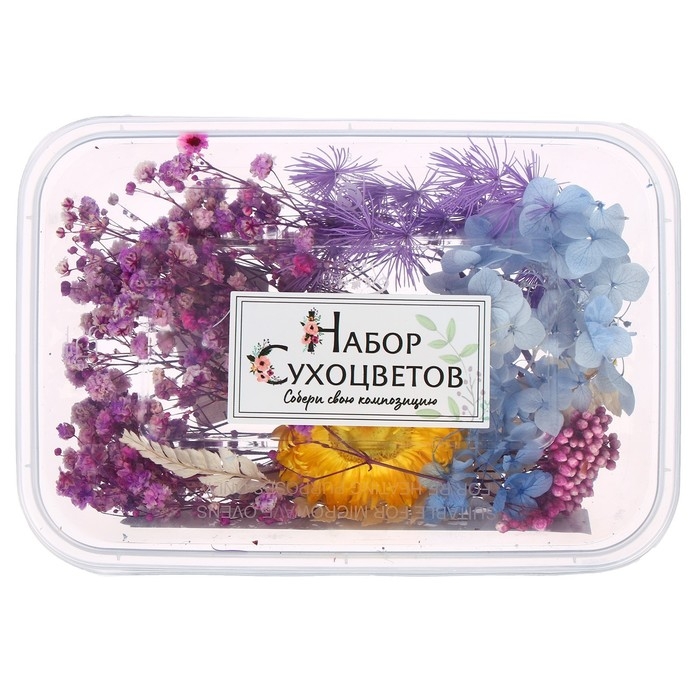 Набор для творчества «Набор сухоцветов», большой, голубой, жёлтый, сиреневый Набор для творчества «Набор сухоцветов», большой, голубой, жёлтый, сиреневый