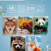 Тетрадь 48 листов в клетку, Calligrata &laquo;Дикие животные&raquo;, МИКС