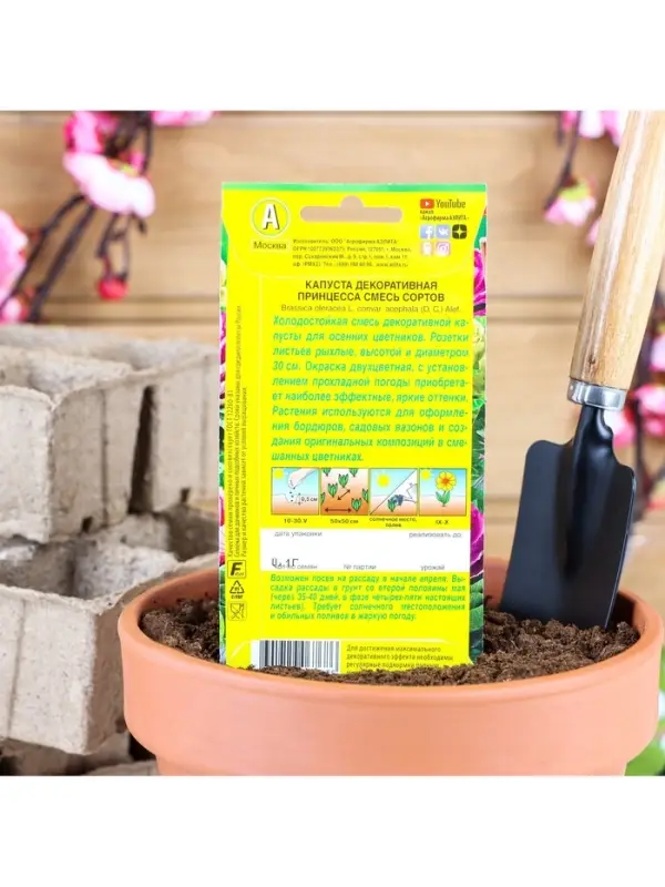 Набор семян Капуста декоративная "Принцесса", смесь окрасок, О, 5 шт.