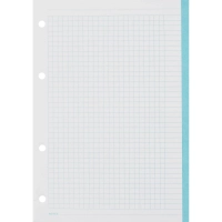 Сменный блок для тетрадей на кольцах, BeSmart А5 120л клетка Цветной N001d