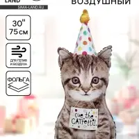 Воздушный шар фольгированный 30" &laquo;Котёнок в колпачке&raquo;