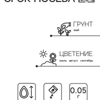 Семена  цветов Хризантема девичья "Белые Звезды". О, 0,05 г