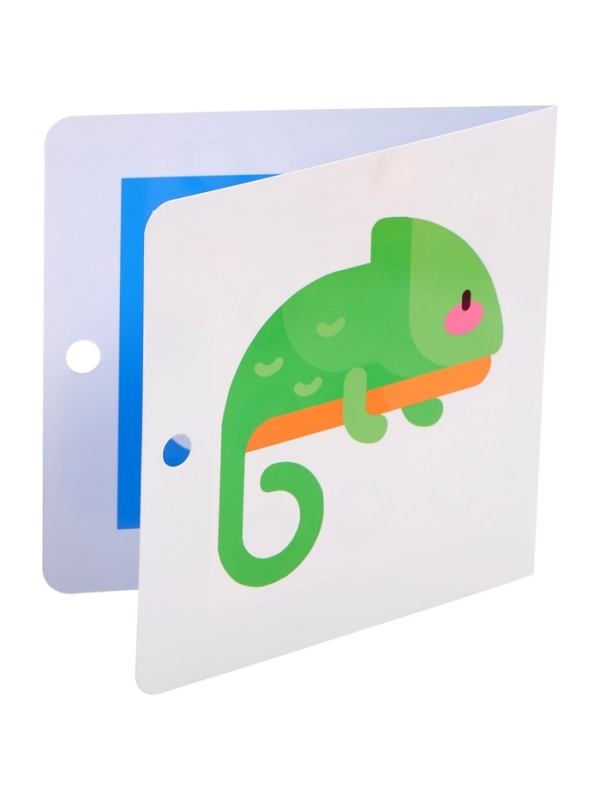 Развивающий набор Развивающий набор "Мои первые картинки"