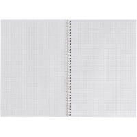 Бизнес-тетрадь Attache Cristal,80л,клет,А4,спир,обл.мел.карт