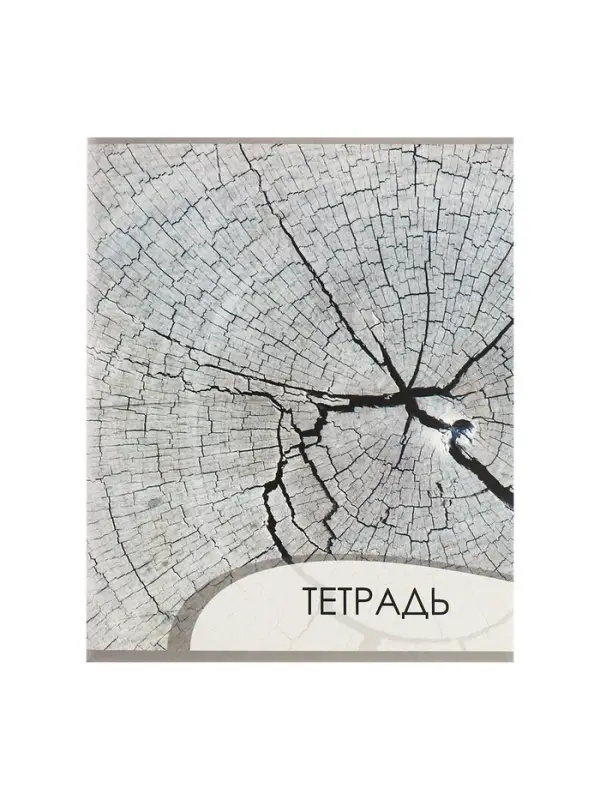 Комплект тетрадей из 4 штук, 96 листов в клетку Calligrata "Текстура 2", обложка мелованный картон, блок офсет