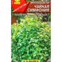 Семена Мята колосистая Чайная симфония, Ц/П,0,05 г