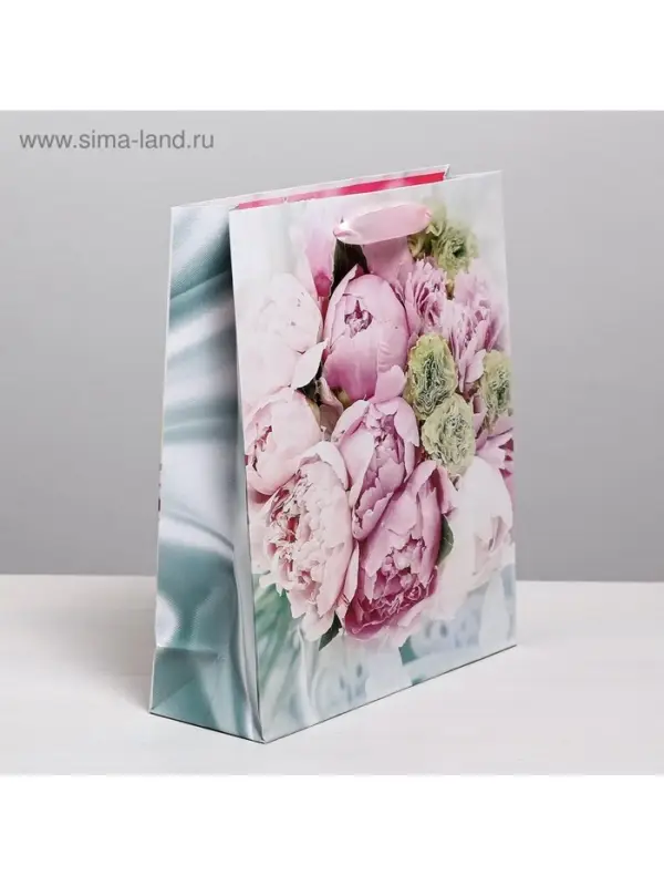 Пакет подарочный ламинированный, упаковка, &laquo;Радости!&raquo;, ML 23&times;27&times;11.5 см