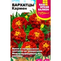 Семена цветов Бархатцы &laquo;Кармен&raquo;, 0.2 г, &laquo;Семена Алтая&raquo;