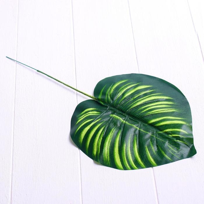 Лист искусственный «Драцена», 40 × 13 см Лист искусственный «Драцена», 40 × 13 см