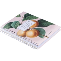 Бизнес-тетрадь, BS, А5, 120л., точка, твердый,спираль. Flora, персики N4211