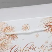 Пакет - коробка подарочный «С Новым годом», 23×18×11 см Пакет - коробка подарочный «С Новым годом», 23×18×11 см