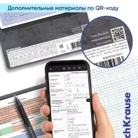 Набор предметных тетрадей ErichKrause &laquo;Чубрик&raquo;, 12 предметов, 48 листов, со справочным материалом, пластиковая обложка
