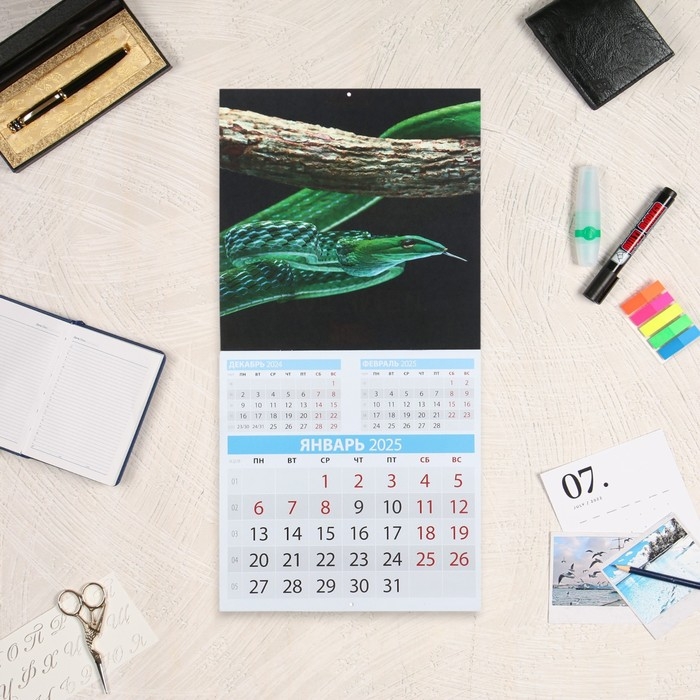 Календарь перекидной на скрепке Календарь перекидной на скрепке "Символ года - 2" 2025 год, 12 листов, 29х29 см