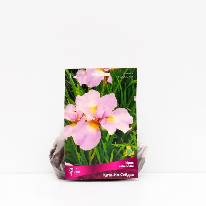 Ирис сибирский Ирис сибирский "Кита-Но-Сейдза", 1 шт, р-р I, Весна 2025