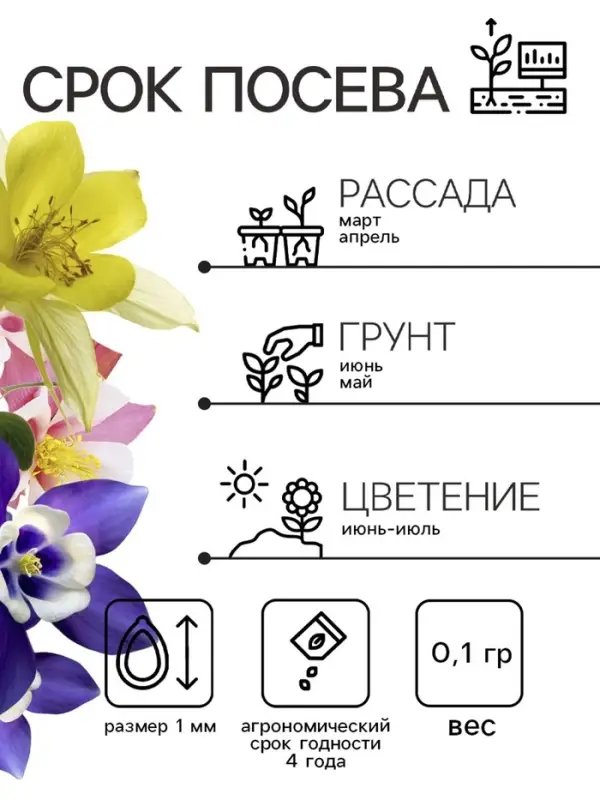 Семена Аквилегия  Семена Аквилегия "Маккана Гигант", ц/п,  0,1 гр.