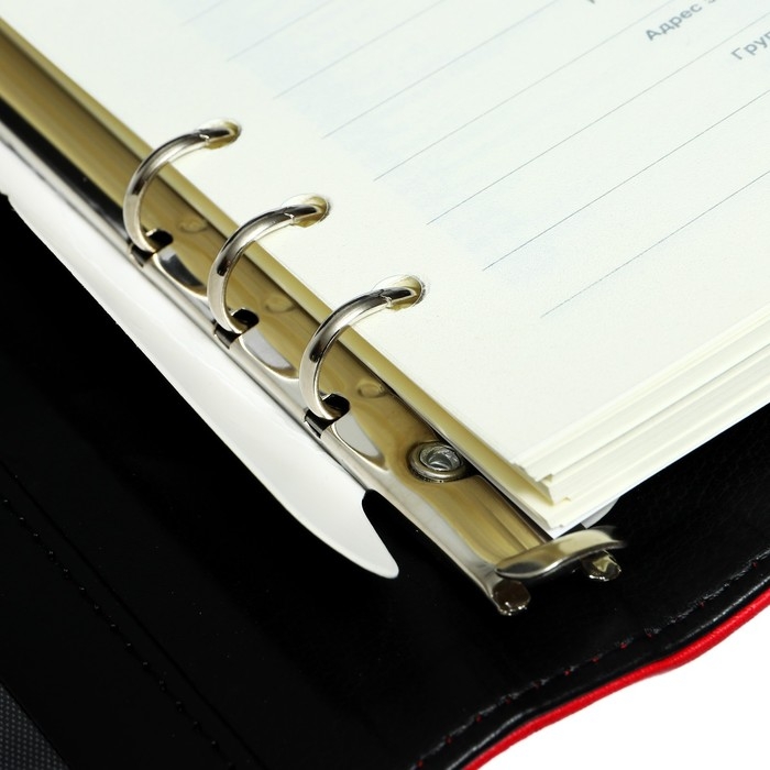 Органайзер на кольцах,ПВХ,А5,140 л, клетка,с ручкой,подар. короб,флешка,зарядка,МИКС Органайзер на кольцах,ПВХ,А5,140 л, клетка,с ручкой,подар. короб,флешка,зарядка,МИКС