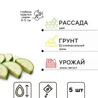 Семена Кабачок &laquo;Кавили&raquo;, F1, 5 шт., раннеспелый, &laquo;Тимирязевский питомник&raquo;